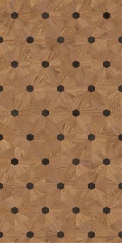 612TEX773莱茵序曲